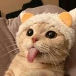 Luis Felipe Esquivel avatar